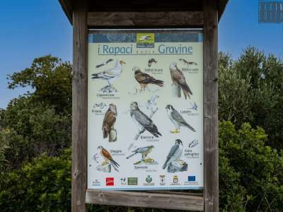...e gli animali che � possibile osservare durante il passaggio